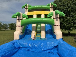 20’ Dual Lane Tropical Palms Water Slide IMG 3661 1748649206 20’ Dual Lane Tropical Palms Water Slide