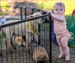 Petting Zoo Petting Zoo
