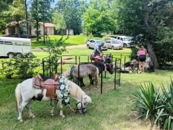Petting Zoo 4690a83ce999c28dbea527f8f84c9623 1749149972 Petting Zoo
