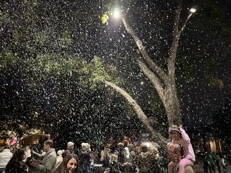 Snow Machine Snow Machine