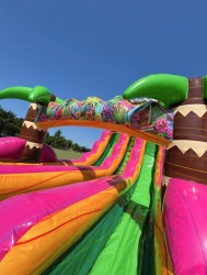22' Dual Lane Magenta Breeze Water Slide IMG 5987 1750165226 22' Dual Lane Magenta Breeze Water Slide