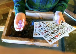 Gem & Fossil Mining IMG 6007 1750185209 Gem & Fossil Mining