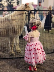 Petting Zoo c2cacde0c8b45be36e5f3ed6855a2356 1749149972 Petting Zoo